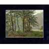 Alpy Bawarskie 39 / Bayerische Alpen