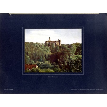 "Schloß Fürstenstein Tafel 35. Schlesien."