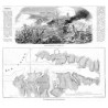 [1] "Coombat de Maglovitz, le 6 janvier 1854." [2] "Plan topographique de la rade de Sébastopol."