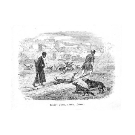 "Tueurs de Chiens, á Kertch. (Crimée.)"