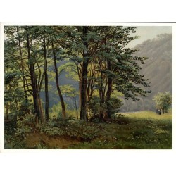 Alpy Bawarskie 39 / Bayerische Alpen