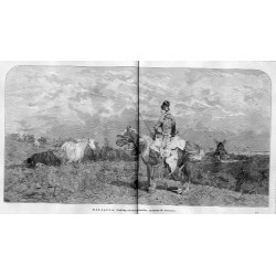 Bałaguła / "BAŁAGUŁA. Podług obrazu Brandta, rysował W. Szerner. 254"