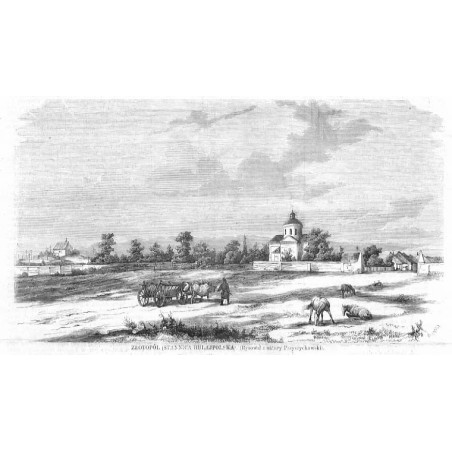 Złotopól (Stannica Hulajpolska). Rysował z natury Przyszychowski / "ZŁOTOPÓL (STANNICA HULAJPOLSKA). (Rysował z natury Przyszych