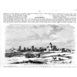 Złotopól (Stannica Hulajpolska). Rysował z natury Przyszychowski / "ZŁOTOPÓL (STANNICA HULAJPOLSKA). (Rysował z natury Przyszych