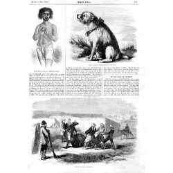 [1] "Sandy, der Hund der englischen Sappeurs vor Sewastopol." [2] "Scene aus dem Lager vor Sewastopol."