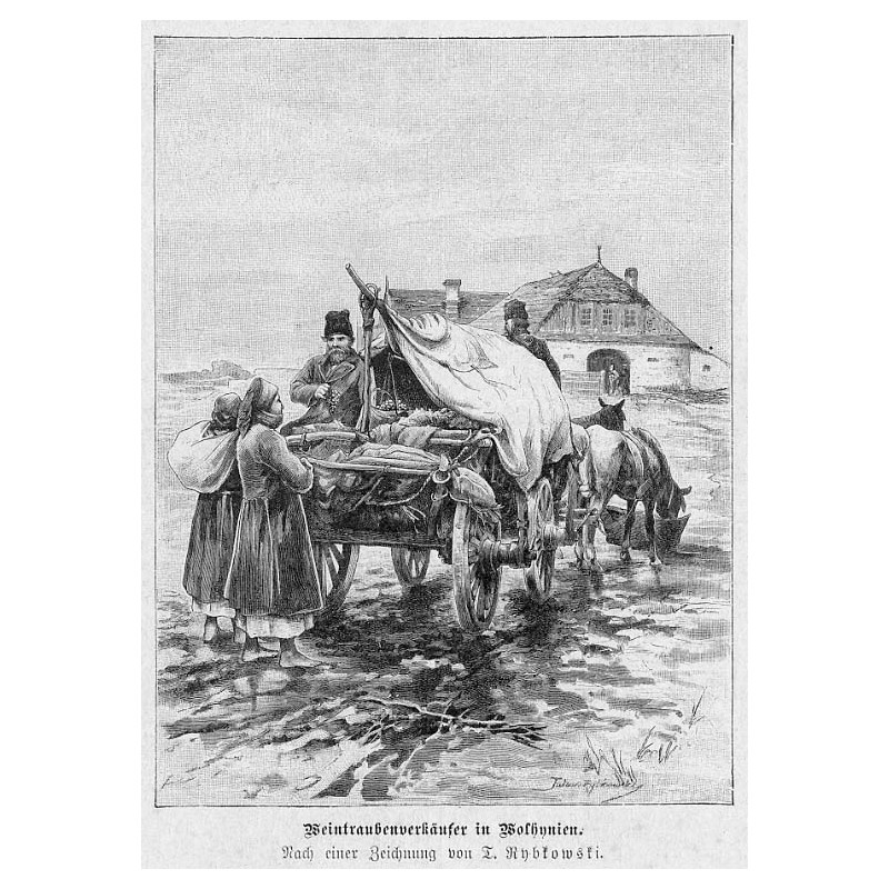 "Weintraubenverkäufer in Wolhynien. Nach einer Zeichnung von T. Rybkowski."