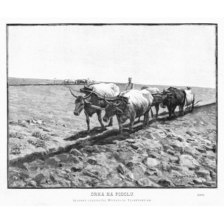 Orka na Podolu. Rysunek oryginalny Michała hr. Tyszkiewicza. (2893) / "ORKA NA PODOLU. Rysunek oryginalny Michała hr. Tyszkiewic