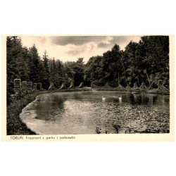 Toruń. Fragment z parku i sadzawka