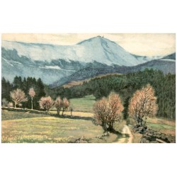 8403 Schneekoppe von Wolfshau aus