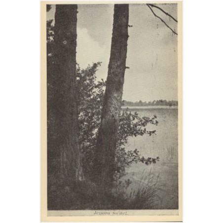 Jezioro Świteź
