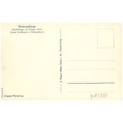 Riesengebirge. Am Kleinen Teich. Silesia 5381 / Rewers: Riesengebirge. Felsabhänge am Kleinen Teich. Kleine Teichbaude u. Hampel
