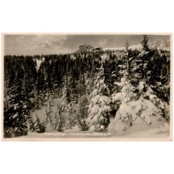Riesengebirge - Hampelbaude, 1258 m ü. M.