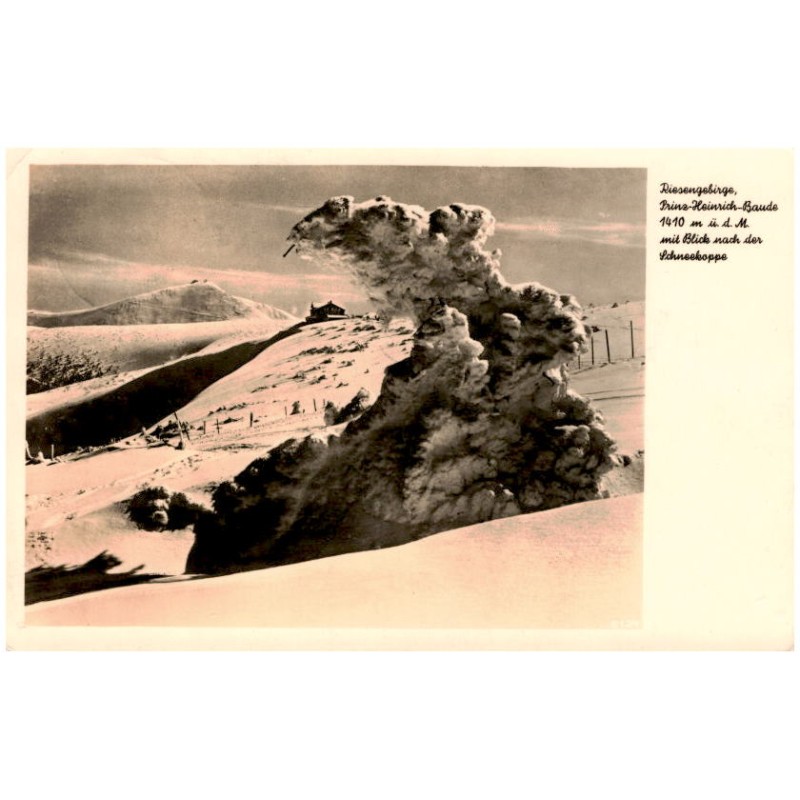 Riesengebirge, Prinz-Heinrich-Baude 1410 m ü. d. M. mit Blick nach der Schneekoppe. 5124