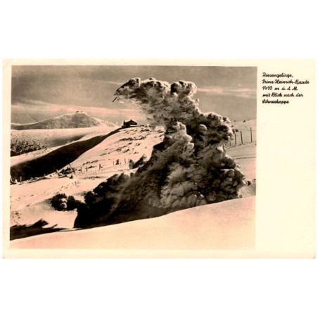 Riesengebirge, Prinz-Heinrich-Baude 1410 m ü. d. M. mit Blick nach der Schneekoppe. 5124