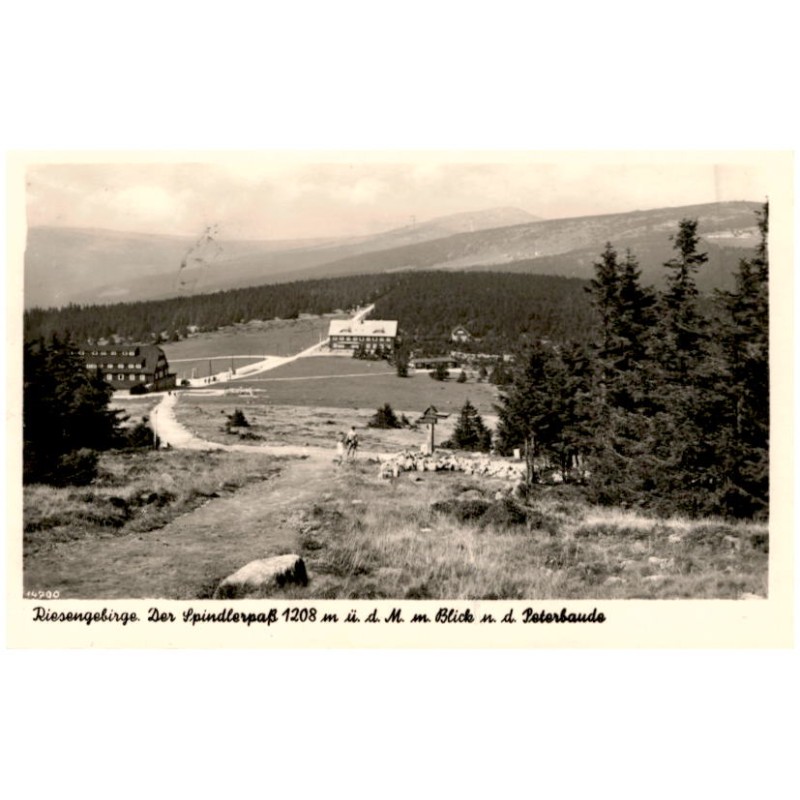 Riesengebirge. Der Spindlerpaß 1208 m ü. d. M. m. Blick n. d. Peterbaude. 14700