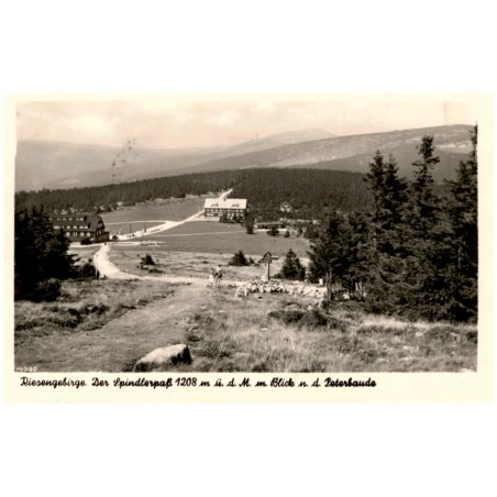 Riesengebirge. Der Spindlerpaß 1208 m ü. d. M. m. Blick n. d. Peterbaude. 14700