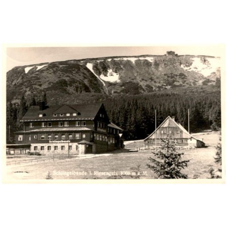 Schlingelbaude i. Riesengeb. 1068 m ü. M.