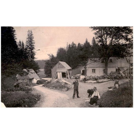 Lutzke-Mühle in Grunwald. No 5 Eine Wanderung nach der Hohen Mense