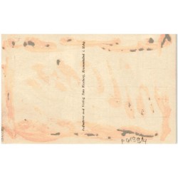 Kleine Teichbaude. Riesengebirge. w. 39