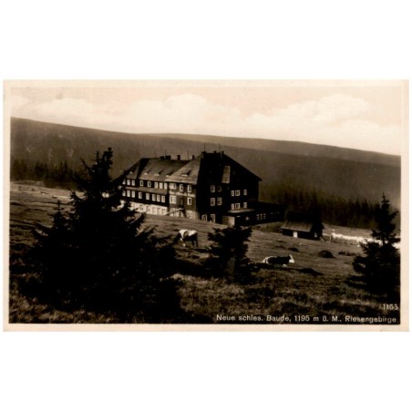 Neue schles. Baude, 1195 m ü. M. Riesengebirge 1155 / Rewers: Schronisko "Na Szrenicy" D/Sl Tow Tur Krajoznawczego wys. 1365 m n