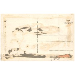 Schneekoppe, Schlesierhaus u. Riesenbaude i. Rsgb. 313