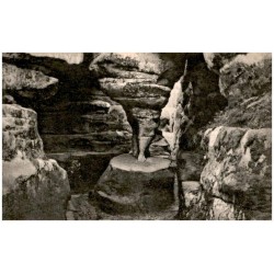 Wilde Löcher: Löwentatze. Bukowine Kreis Glatz, Schles. "Wilde Löcher" Pächter: Ernst Kollatschny