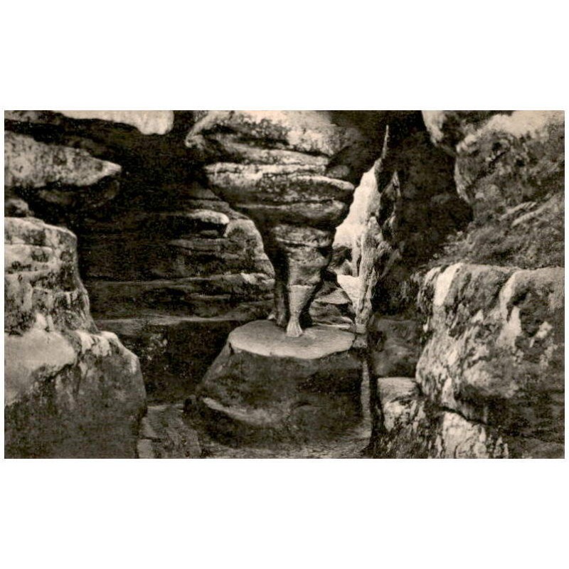 Wilde Löcher: Löwentatze. Bukowine Kreis Glatz, Schles. "Wilde Löcher" Pächter: Ernst Kollatschny