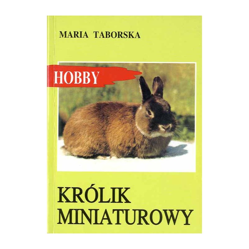 Królik miniaturowy