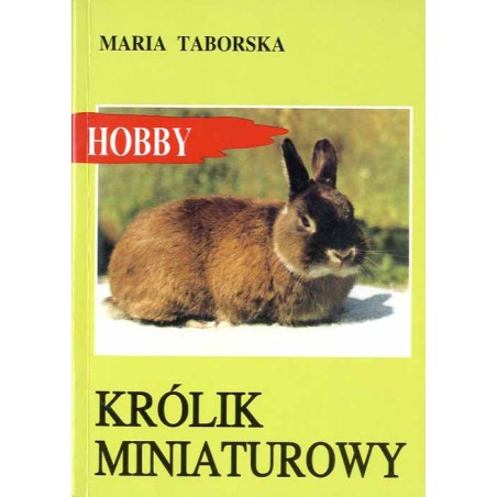 Królik miniaturowy