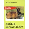 Królik miniaturowy