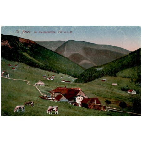 St. Peter. im Riesengebirge. 797 m ü. M.