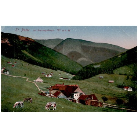 St. Peter. im Riesengebirge. 797 m ü. M.