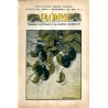 Płomyk. Tygodnik ilustrowany dla dzieci i młodzieży. R.13 (1928). Nr 5 (3 października 1928) / B. Hulewicz