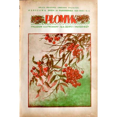 Płomyk. Tygodnik ilustrowany dla dzieci i młodzieży. R.13 (1928). Nr 8 (24 października 1928) / B. Hulewicz