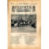 Płomyk. Tygodnik ilustrowany dla dzieci i młodzieży. R. 13 (1929). Nr 19 (9 stycznia 1929) / Rabka-Zdrój / Chorzów
