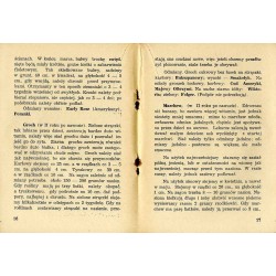 A.B.C. działkowca (zasadnicze wskazówki o uprawie warzyw)
