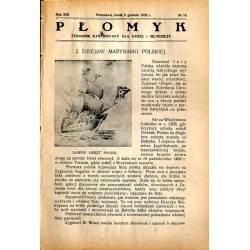 Płomyk. Tygodnik ilustrowany dla dzieci i młodzieży. R. 13 (1928). Nr 14 (5 grudnia 1928) / komiks "Nieudany obiad"