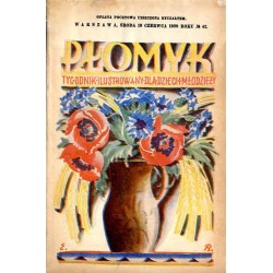 Płomyk. Tygodnik ilustrowany dla dzieci i młodzieży. R. 13 (1929). Nr 42 (19 czerwca 1929) / Edmund Bartłomiejczyk / por. Kazimi