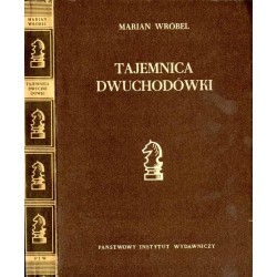 Tajemnice dwuchodówki. Studium z zakresu konstrukcji i tematyki problemu
