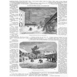 1) Oddział inwentarzy żywych i ogrodowizny. 754 2) Oddział machin rolniczych. 755 / 1) "ODDZIAŁ INWENTARZY ŻYWYCH I OGRODOWIZNY