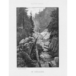 Wojciech Gerson. W górach. Rytował E. Gorazdowski / "WOJCIECH GERSON. W GÓRACH. Rytował E. Gorazdowski."
