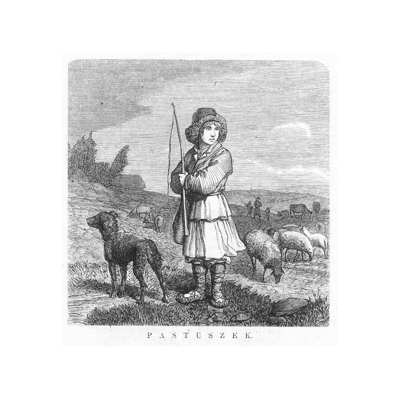 Litwa. Wiłkomierz okolice. Pastuszek / "PASTUSZEK."