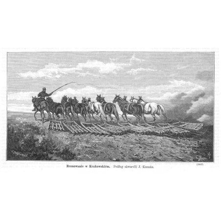 "Bronowanie w Krakowskiém. Podług akwarelli J. Kossaka. (3097)"