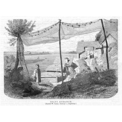 Osady rybackie. Rysował W. Gerson drzeworyt A. Regulskiego / "OSADY RYBACKIE. (Rysował W. Gerson drzeworyt A. Regulskiego.)"