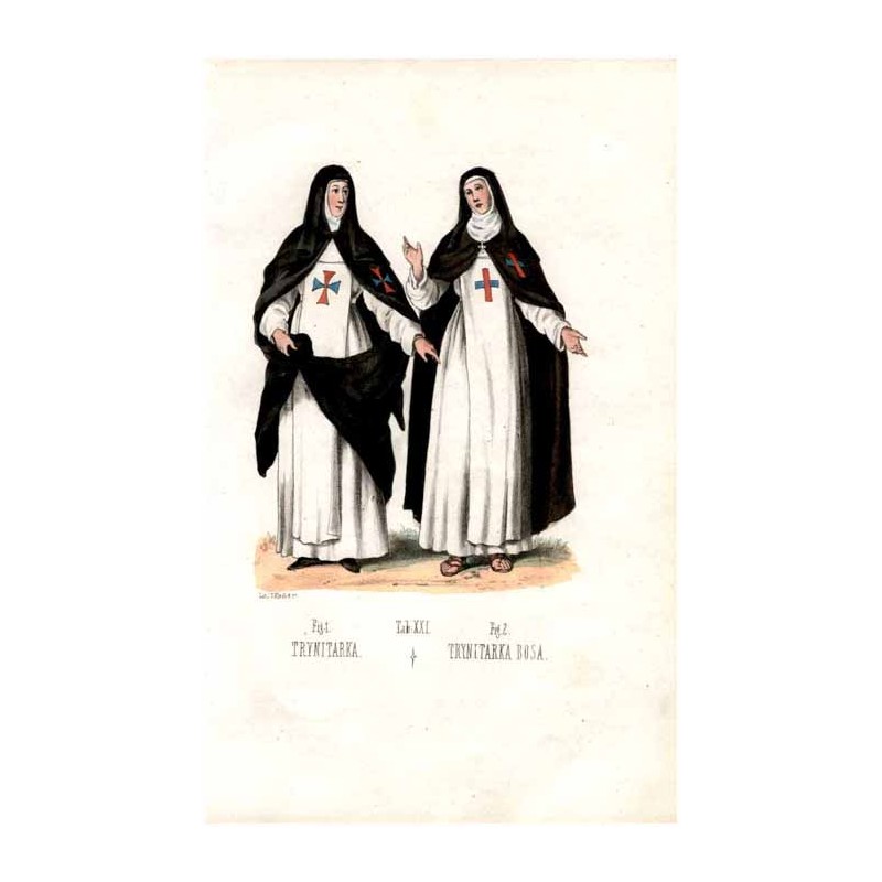 "Tab: XXI. Fig: 1. TRYNITARKA. Fig: 2. TRYNITARKA BOSA."