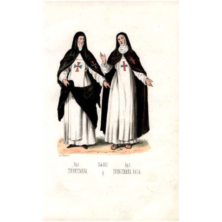 "Tab: XXI. Fig: 1. TRYNITARKA. Fig: 2. TRYNITARKA BOSA."