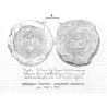 Pieczęcie królowej Jadwigi z lat 1387 i 1398 / "PIECZĘCIA IADWIGI KRÓLOWÉJ POLSKIÉY z lat 1387 i 1398"