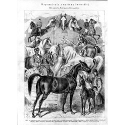 "Wspomnienia z wystawy lwowskiéj. Rysunek Juliusza Kossaka. KONIE. a) Gulda, klacz pół-arabska p. Trzeciaka. -b) Obejan i Partyz