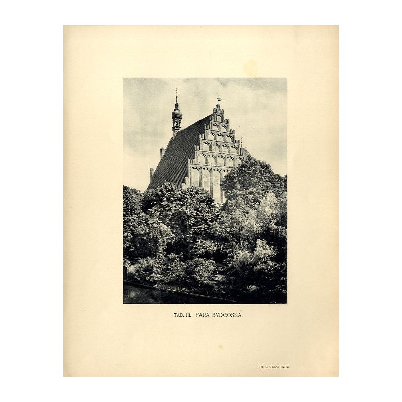 Fara bydgoska / "TAB. III. FARA BYDGOSKA."