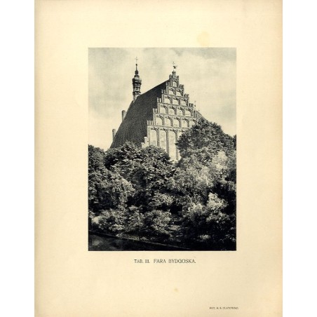 Fara bydgoska / "TAB. III. FARA BYDGOSKA."